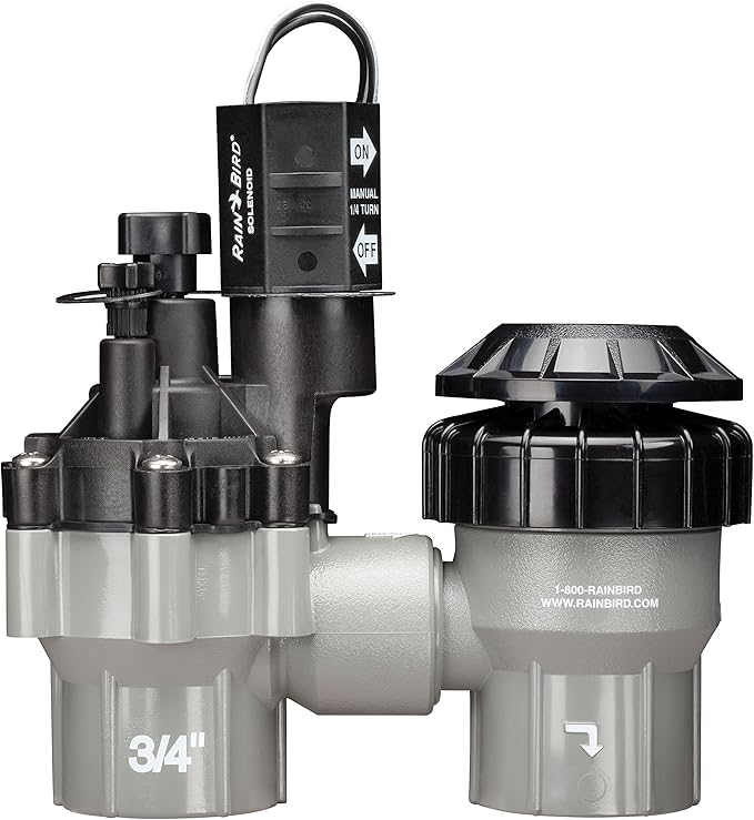 Rain Bird DASASVF075 Professional Grade Anti-Siphon Valve with Flow Control, 3/4" Threaded Female x Female