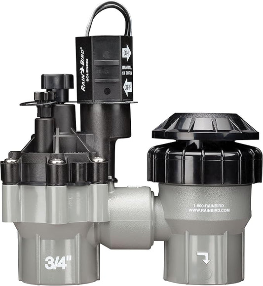 Rain Bird DASASVF075 Professional Grade Anti-Siphon Valve with Flow Control, 3/4" Threaded Female x Female