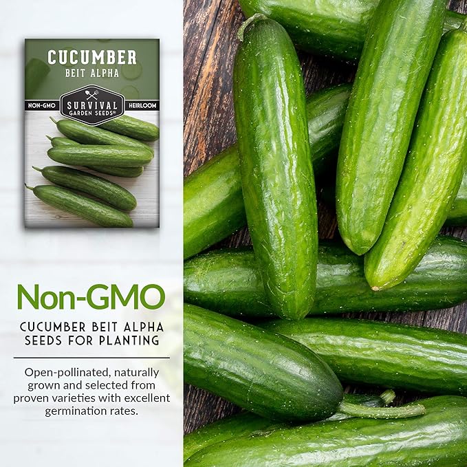 Survival Garden Seeds - Beit Alpha Cucumber Seed for Planting - Pack with Instructions to Plant and Grow Smooth Green Burpless Cucumbers in Your Home Vegetable Garden - Non-GMO Heirloom Variety