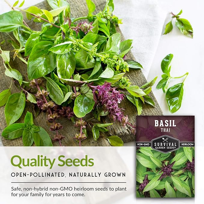 Survival Garden Seeds - Thai Basil Seed for Planting - Packet with Instructions to Plant and Grow Asian Basil Indoors or Outdoors in Your Home Vegetable Garden - Non-GMO Heirloom Variety - 2 Pack