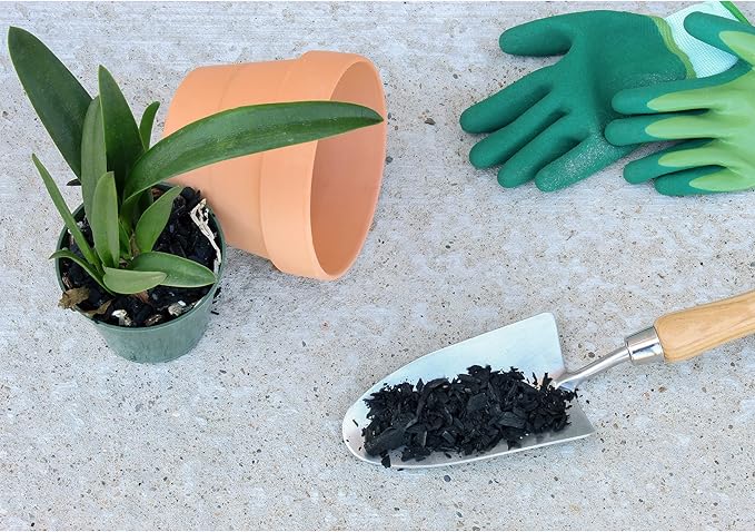 Horticultural Charcoal for Indoor Plants (4 Quarts), Hardwood Soil Additive for Orchids, Terrariums, and Gardening