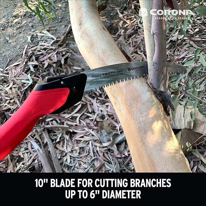 Corona Tools 10-Inch RazorTOOTH Folding Pruning Designed for Single Use | Curved Blade Hand Saw | Cuts Branches Up to 6" in Diameter | RS16150, Red