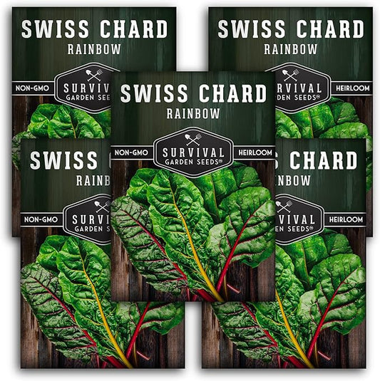 Survival Garden Seeds - Rainbow Swiss Chard Seed for Planting - 5 Packs with Instructions to Plant and Grow Colorful Stalked Vegetable Greens in Your Home Vegetable Garden - Non-GMO Heirloom Variety