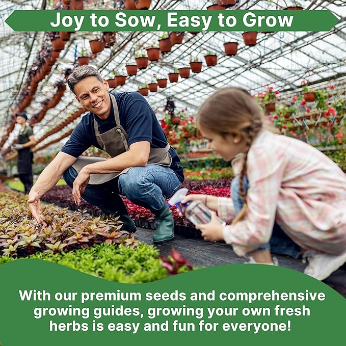 Thyme Seeds Pack 0.5 G - Over 1,350 Non-GMO Heirloom Thyme Seeds for Planting Herbs in Individual Seed Packet, Herbs Seeds for Planting Home Garden Indoor & Outdoor Gardening