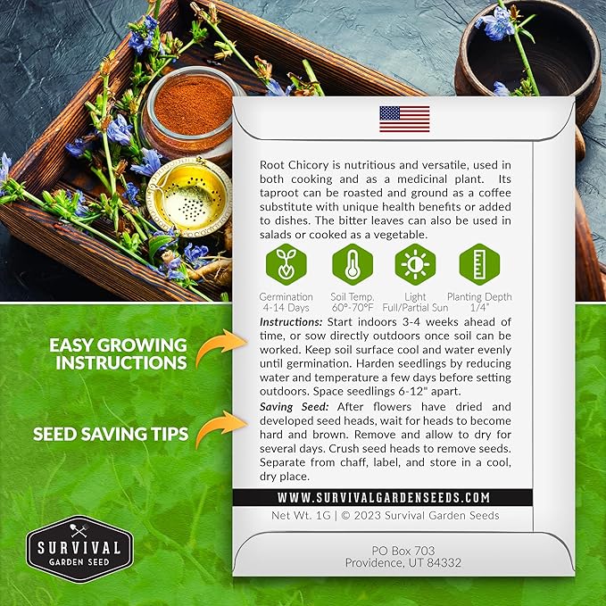 Root Chicory Seed for Planting - 1 Packet with Instructions to Plant and Grow Coffee Chicory in Your Home Vegetable Garden - Non-GMO Heirloom Variety - Survival Garden Seeds