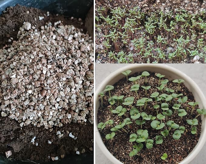 25QT Organic Vermiculite Granules for Plants and Gardening