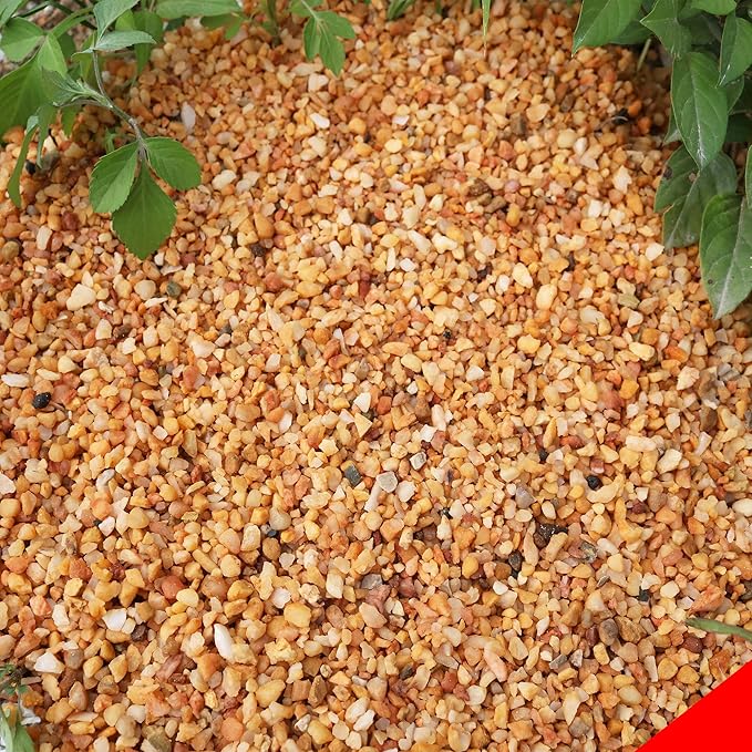 18LB Aquarium Gravel Mix Rocks for Succulent,Cactus Bonsai DIY, Gravel for Terrarium, Fairy Gardening, Top Dressing （6mm-8mm）