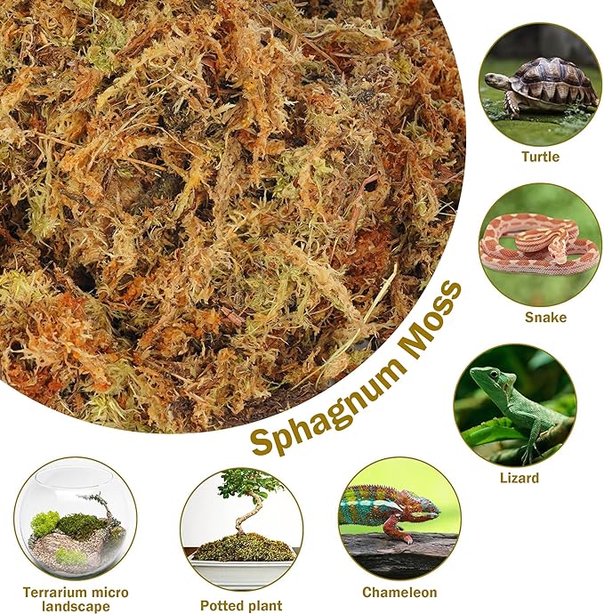 Hourleey 1.1 lb Sphagnum Moss for Plants, Premium Natural Long Fibered Dried Moss Potting, Sphagnum Peat Moss Bulk for Orchids Succulent Carnivorous Potted Plant Reptiles Medium Sarracenia