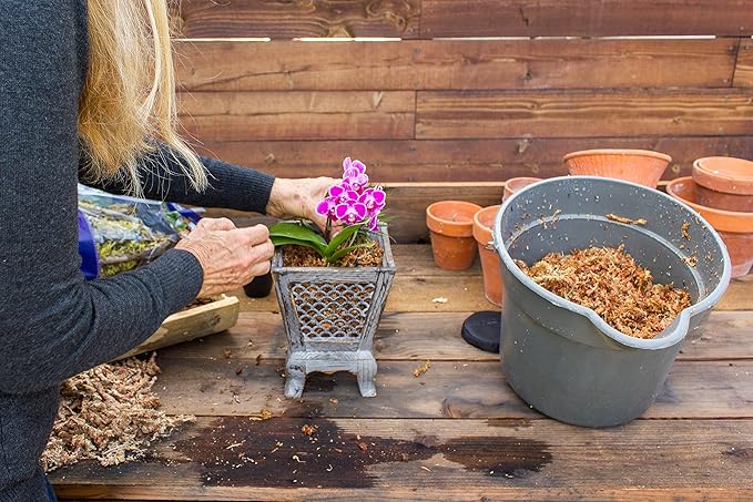 SuperMoss (22301) Orchid Sphagnum Moss Dried, Natural, 8oz