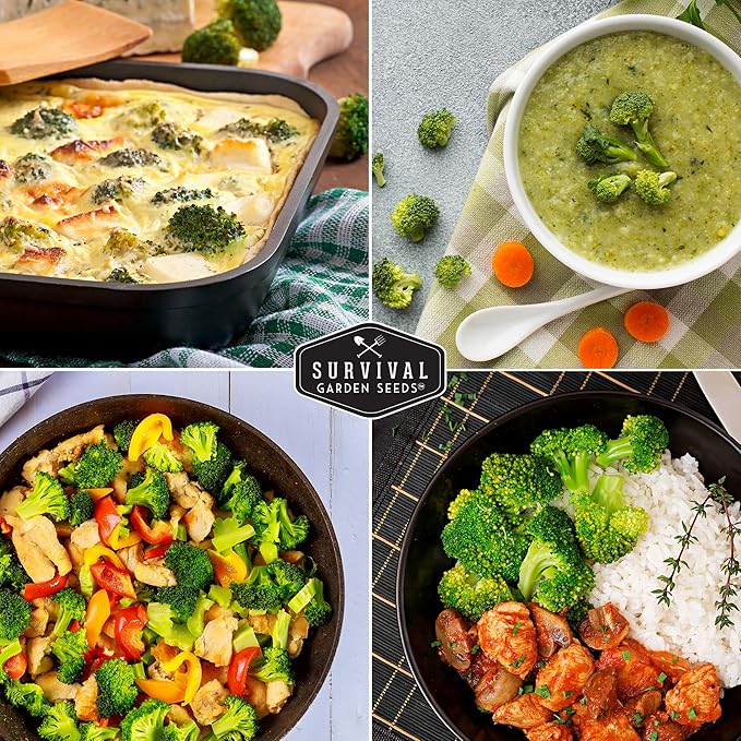 Waltham 29 Broccoli Seed for Planting - Packet with Instructions to Plant & Grow Cool Weather Broccoli in Your Home Vegetable Garden - Non-GMO Heirloom Variety - Survival Garden Seeds - 3 Pack