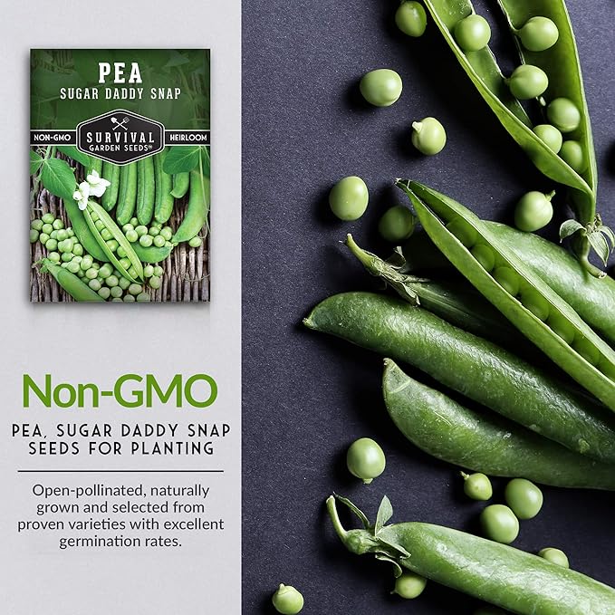 Survival Garden Seeds - Sugar Daddy Snap Pea Seeds for Planting – 1 Packet with Instructions to Grow Delicious Pea Pods in Your Home Vegetable Garden – Non-GMO Heirloom Vegetable Seeds
