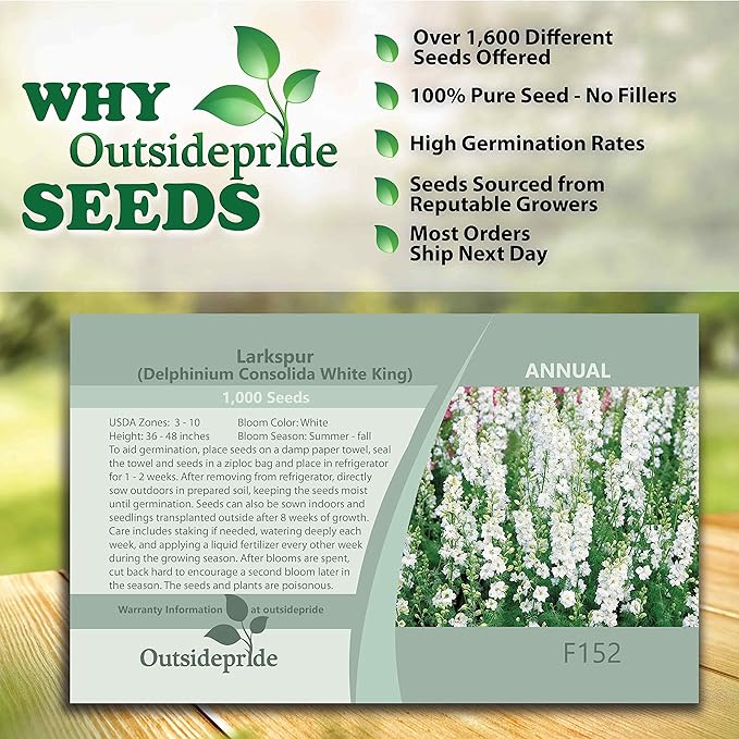 Outsidepride 1000 Seeds Delphinium White Larkspur Flower Seeds for Planting