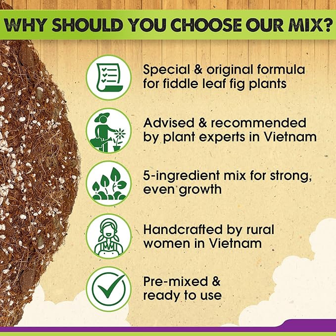 DUSPRO Recycle Fiddle Leaf Fig Soil Specialized for Fiddle Leaf Fig Plant Indoor 5-in-1 Pre-Mixed with Coco Coir, Coconut Fiber, Perlite, Pumice, Pine Bark Ready-to-Use Handmade Mix Drainage 6 QRT