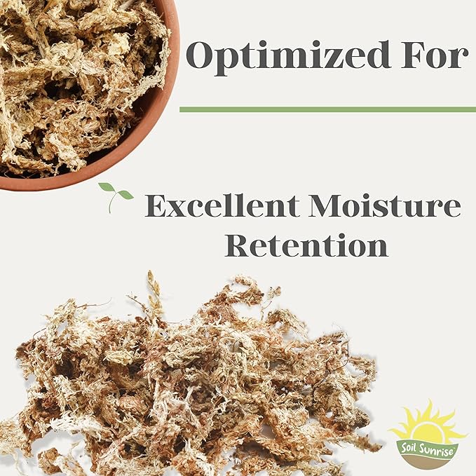 Long Fibered Sphagnum Peat Moss (1 Quart), All Natural Dried Moss for Orchids, Carnivorous Plants, Decorating, Terrariums