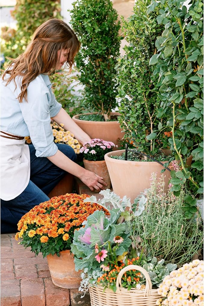 Orbit 56309 Planter Drip Irrigation Drip Watering Kit