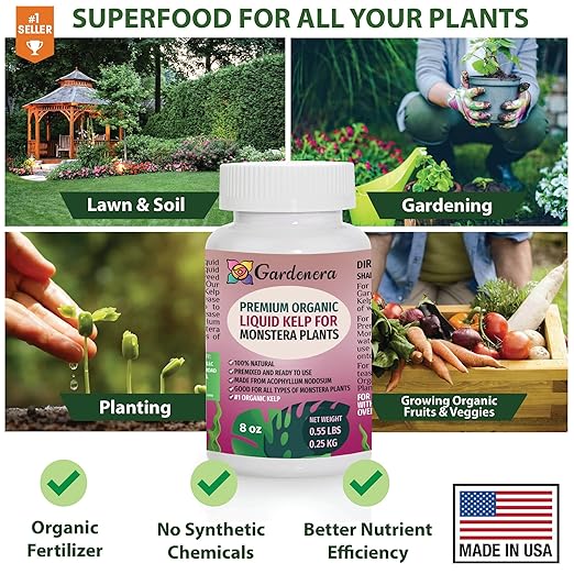 Premium Liquid Kelp Fertilizer for Monstera Plants - 32 oz- Nourish Your Monstera with Organic Seaweed Power