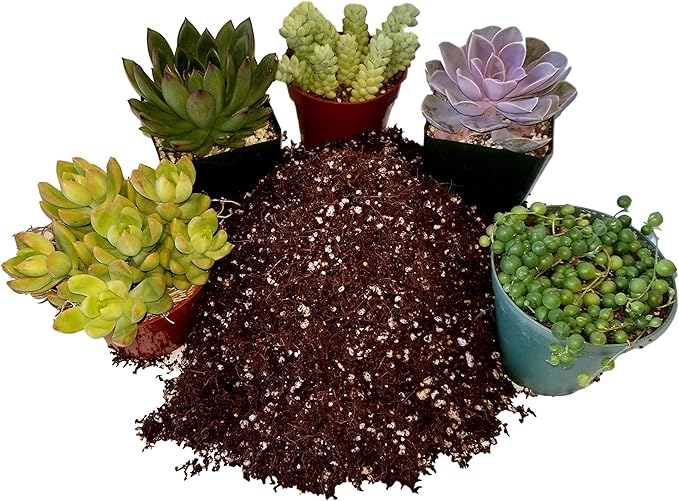 Premium Cacti and Succulent Potting Mix Soil - for Cactus Palm Tree Citrus Plant Grown in Gardening Containers - Indoors & Outdoors Use - with Natural Food/Fertilizer
