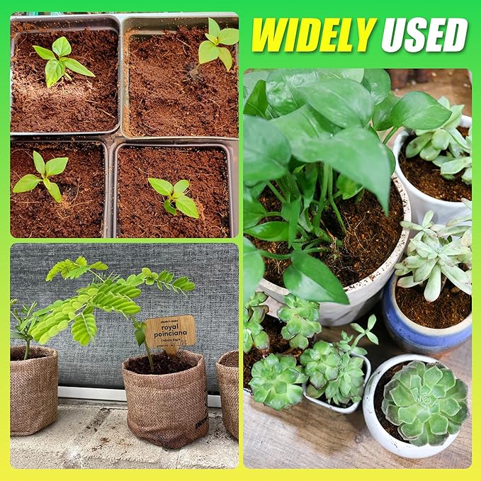 Coco Coir Brick for Plants- 6 Pack Premium 100% Organic Peat Moss Mix with Low EC & pH Balance, Fiber Coconut Husk for Planting, Gardening, Potting Soil Substrate