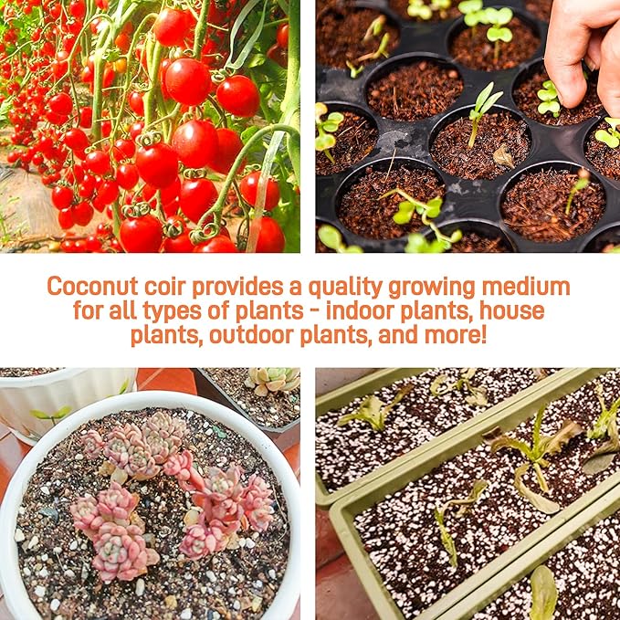 Coco Coir Brick for Plants- 27 Pack Coconut Coir Bricks Premium 100% Organic Peat Moss Mix with Low EC & pH Balance, Fiber Coconut Husk for Planting, Gardening, Potting Soil Substrate