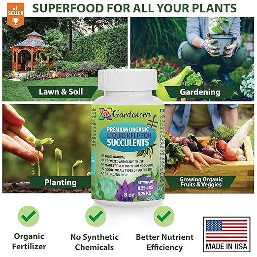 Organic Kelp Fertilizer for Succulents and Cacti by Gardenera - 8 oz - Nourish Your Succulent and Cactus with Liquid Kelp Power