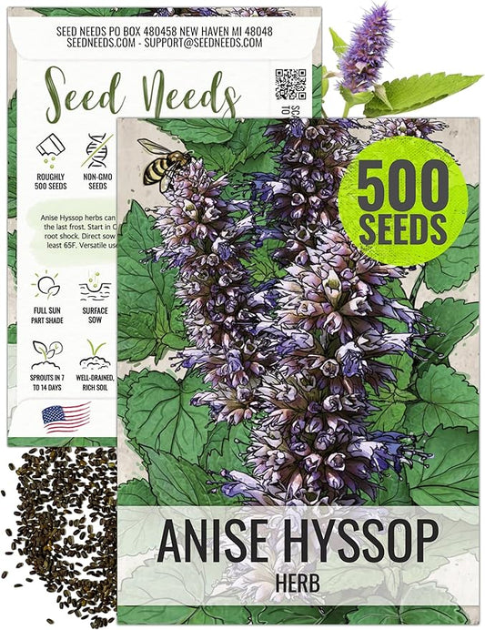 Seed Needs Anise Hyssop Seeds for Planting - Non-GMO, Heirloom & Untreated - Organically Grow a Medicinal/Culinary Herb Garden for Tea & Essential Oils (1 Pack)