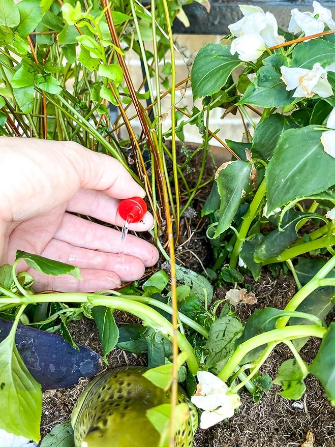 Rain Bird SW20-30PS Drip Irrigation Spot Watering Dripper/Emitter, 2 Gallon Per Hour, 30-Pack,Red/Black