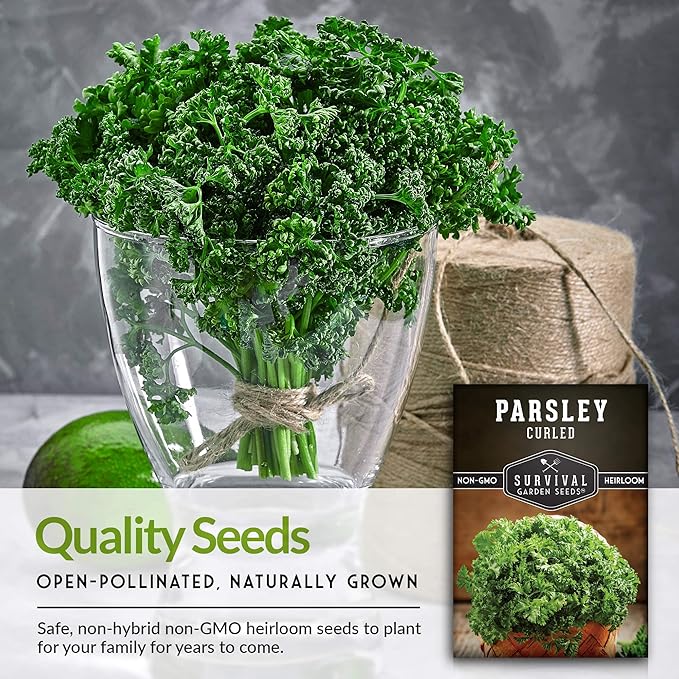 Survival Garden Seeds - Curled Parsley Seed for Planting - 5 Packs with Instructions to Plant and Grow Nutritious Curly Parsley Herb Plants in Your Home Vegetable Garden - Non-GMO Heirloom Variety