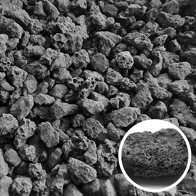 Black Lava Rocks for Plants -100% Pure Volcanic Rock No Dyes or Chemicals-Best Lava Stones Top Dressing for Cacti Succulents Plants,Bonsai-5LBS