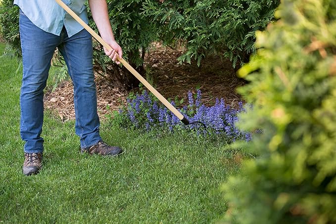 CobraHead® Long Handle Weeder & Cultivator Garden Tool - Forged Steel Blade - Natural 48-Inch Hardwood Handle - Ergonomically Designed for Digging, Edging & Planting - Perfect for Big Gardening Jobs