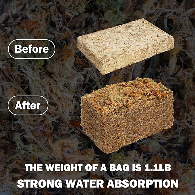 Hourleey 1.1 lb Sphagnum Moss for Plants, Premium Natural Long Fibered Dried Moss Potting, Sphagnum Peat Moss Bulk for Orchids Succulent Carnivorous Potted Plant Reptiles Medium Sarracenia