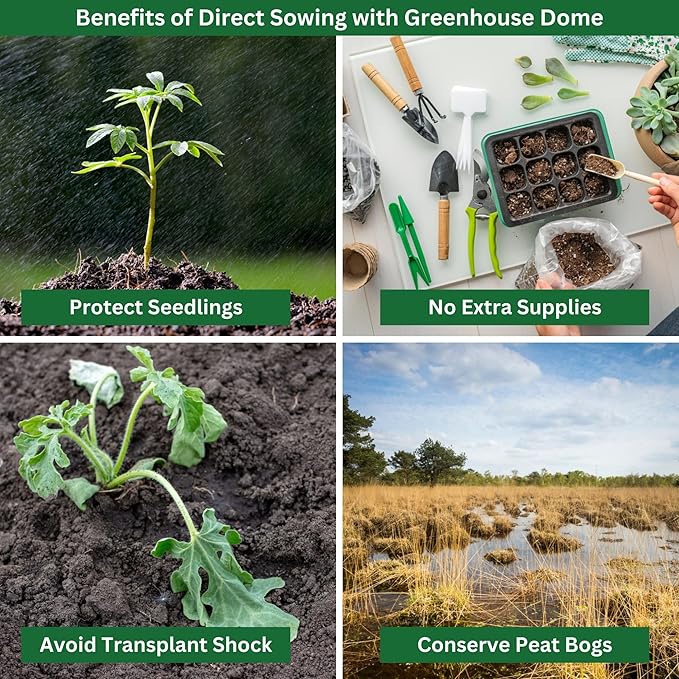 Kids Outdoor Cucumber Garden Kit - Complete Kit for Growing Your Own Cucumbers from Seeds with Grow Rings and Greenhouse Germination Domes, Non-GMO Seeds, BPA-Free