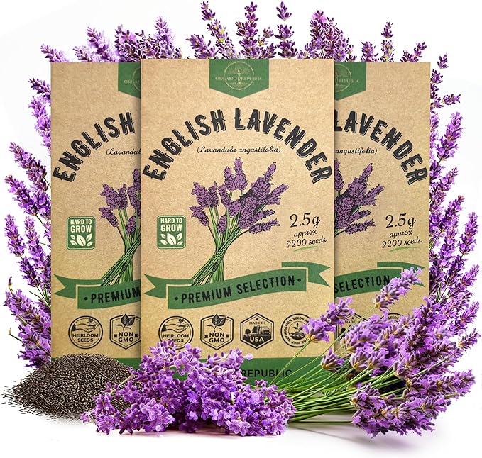 Organo Republic 3-Pack English Lavender Seeds 7.50G - Over 6600 Non-GMO Heirloom Lavender Seeds for Planting in Individual Seed Packets, Herb Seeds for Planting Home Garden Indoor & Outdoor Gardening