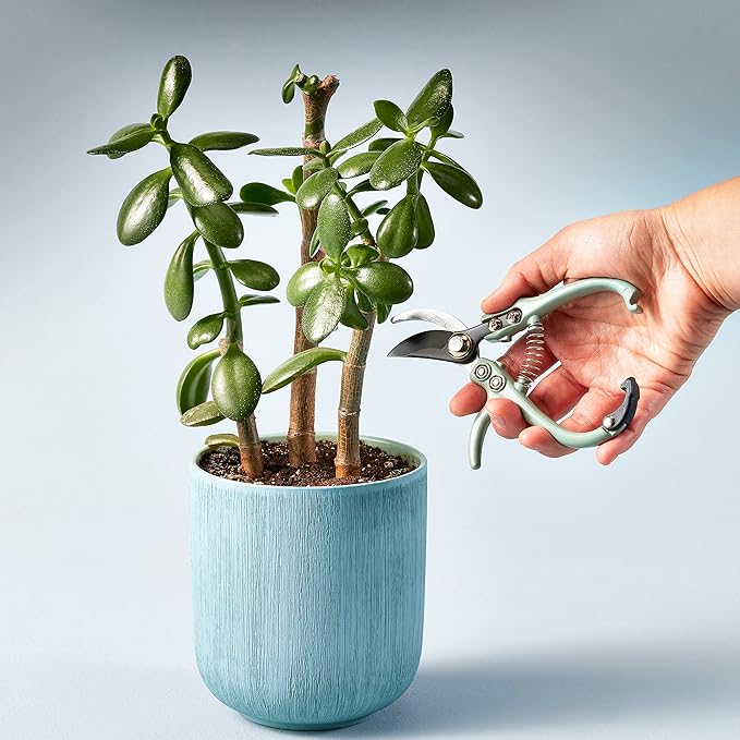 Modern Sprout Gardening Pruners, Lightweight, Durable, Green, One Size