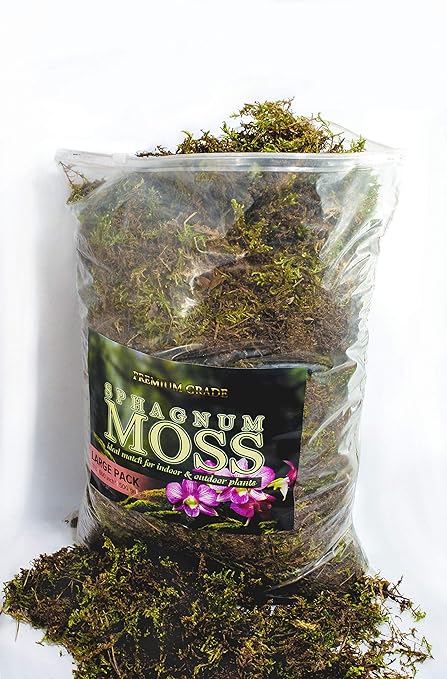 Organic Green Sphagnum Moss for Orchids, Indoor and Outdoor Plants - Dried for Decorative Gardening (Large Pack - 10 litres / 500 gr / 35 oz)