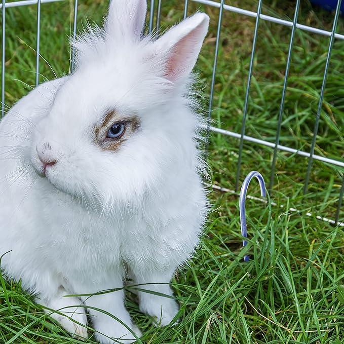 100-Pack Anti-Rust 8 Inch 9 Gauge Heavy-Duty U-Shaped Garden Securing Stakes/Spikes/Pins/Pegs - Hot Dipped Galvanized Sod Staples for Anchoring Landscape Fabric