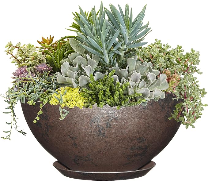Classic Home and Garden Premiere Collection Planter, Rosie 10", Northern Lights