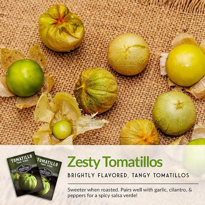 Survival Garden Seeds - Toma Verde Tomatillo Seed for Planting - 2 Packs with Instructions to Plant & Grow Green Salsa Vegetables in Your Home Vegetable Garden - Non-GMO Heirloom Variety Salsa Seeds