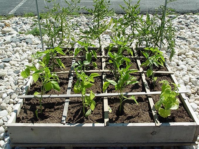 Super Absorbent Polymer Helps Plant Growth and Plant Establishment (1 Pound)