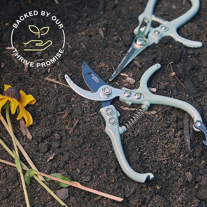 Modern Sprout Gardening Shears & Pruners 2-pack, Lightweight, Durable, One Size (Chartreuse)