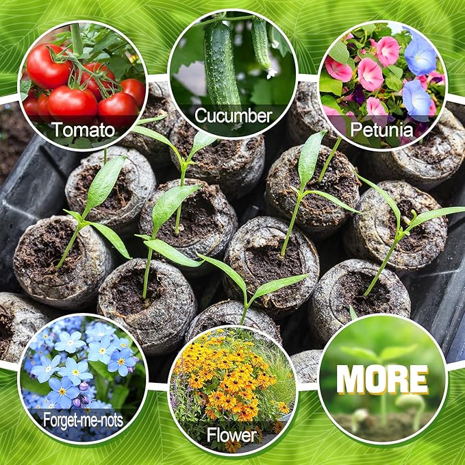 200 Pcs Peat Pellets for Seedling - 30mm Seeds Plant Starter Plugs, Compressed Fiber Garden Soil Block with 200 Labels, Plant Pods Bulk for Transplanting Herbs Flowers Vegetables