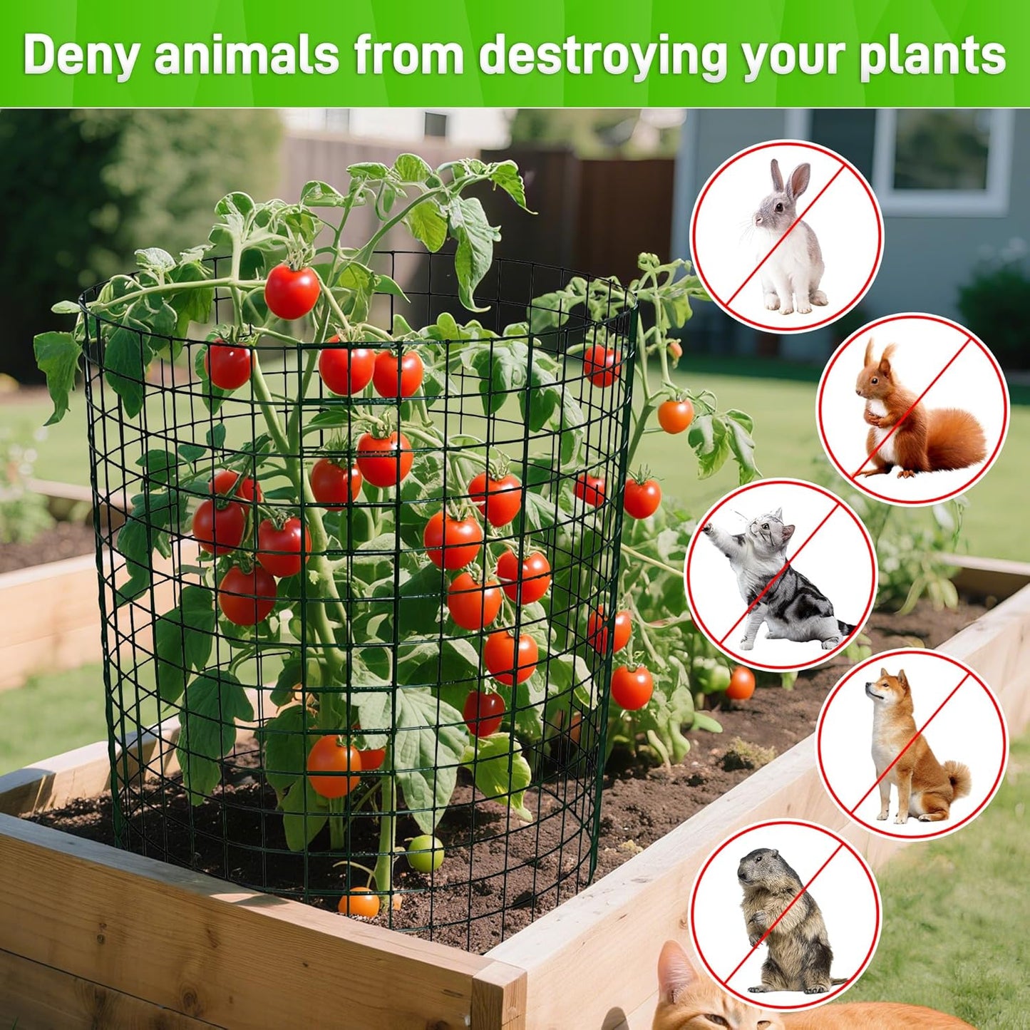 8pcs Plant Protectors from Animals, 16"x 12" Wire Plant Protector, Wire Cages for Plants with Stakes and Cable Ties, Metal Plant Cages for Plants, Vegetables, Flowers