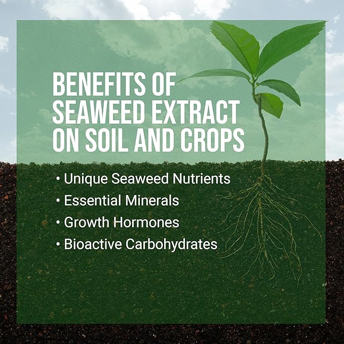 ECOgardener Seaweed Extract Soil Amendment, Water-Soluble, Powdered Organic Soil Conditioner