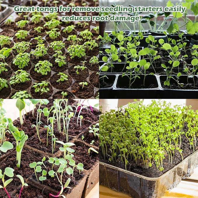 3PCS Seedling Transplant Tongs Stainless Steel Seedling Starters Remove Tongs Seedling Transplanting Tool Seedling Easy Transplanter with Anti-Slip Grasp Tips to Reduce Damage to Roots