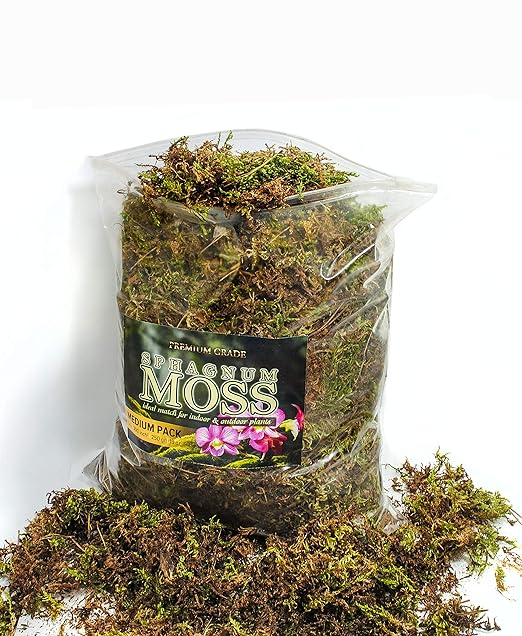 Organic Green Sphagnum Moss for Orchids, Indoor and Outdoor Plants - Dried for Decorative Gardening (Medium Pack - 5 litres / 250 gr / 18 oz)