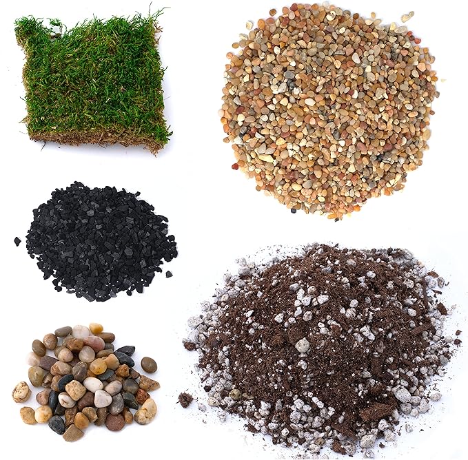 Succulent Planter Kit - Terrarium Kit with Succulent Soil, Gravel, Pebble, Moss,