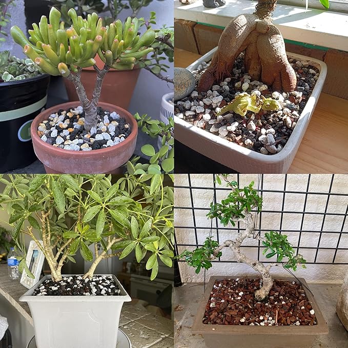 Organic Pumice for Bonsai and Horticultural 100% Natural (5 gallons, 3/8 inch)