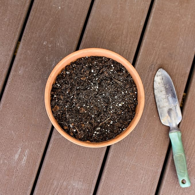 Banana Tree Potting Soil Mix (8 Quarts), Hand Blended Mixture for Banana Plants