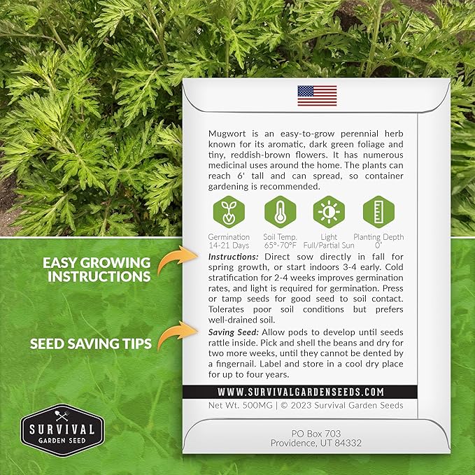Common Mugwort Seed for Planting - 2 Packets with Instructions to Plant and Grow Artemisia Vulgaris in Your Home Vegetable Garden - Non-GMO Heirloom Variety - Survival Garden Seeds