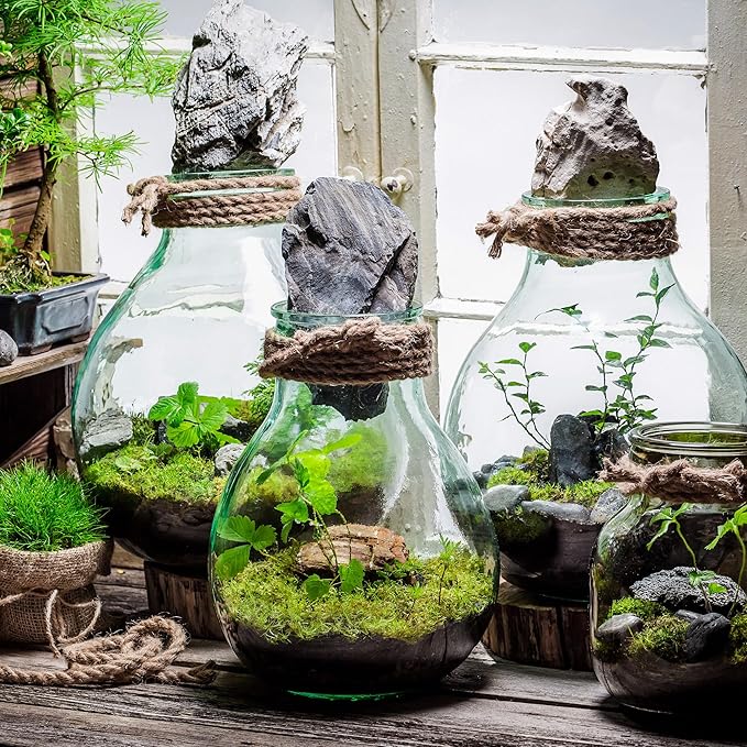 Terrarium Potting Soil Mix (8 Quarts), w/Blended Filtering Charcoal Custom Made for Terrariums