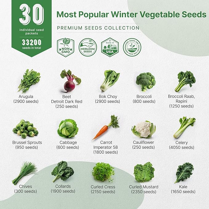 Organo Republic 30 Most Popular Winter Vegetable Garden Seeds Variety Pack- Outdoors/Indoor 8300+ Non-GMO Heirloom Veggie Seeds Broccoli Beet Carrot Cabbage Chives Lettuce Radish Pea Spinach & More